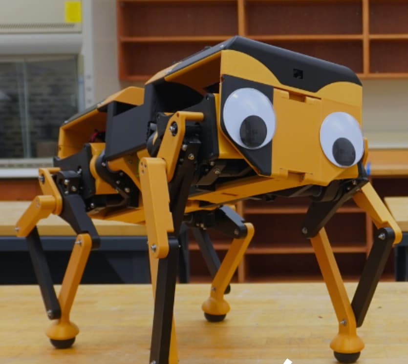 RoboDog